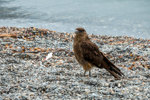 20220125T132811_0160