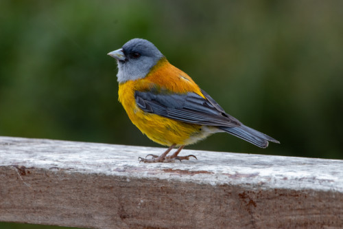 20220125T134508_0183