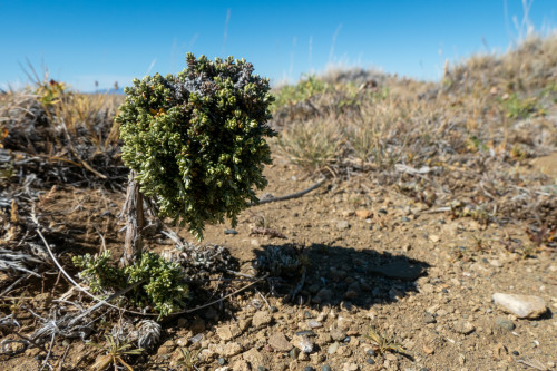 20220127T162818_0440