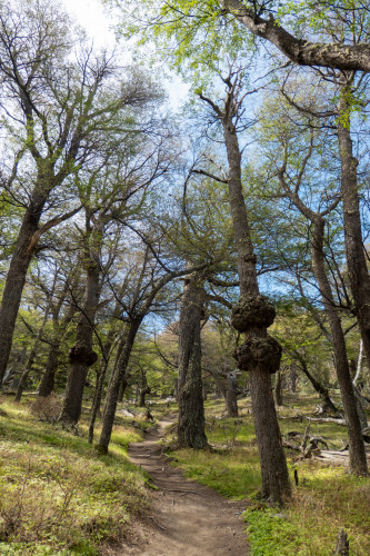 20220130T160353_0768