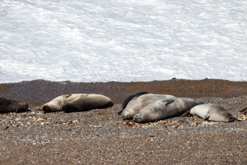 20220207T143119_1306