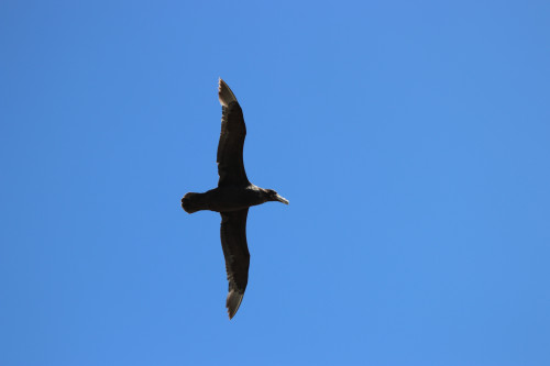 20220207T143445_1314