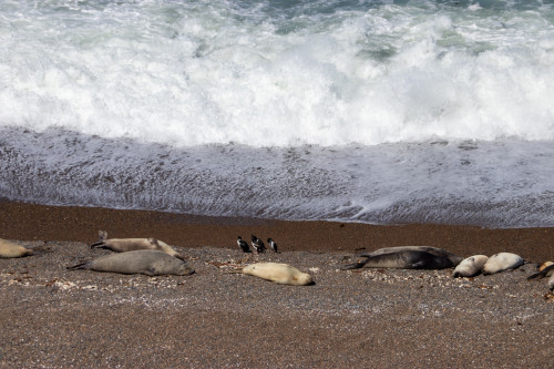 20220207T150215_1322