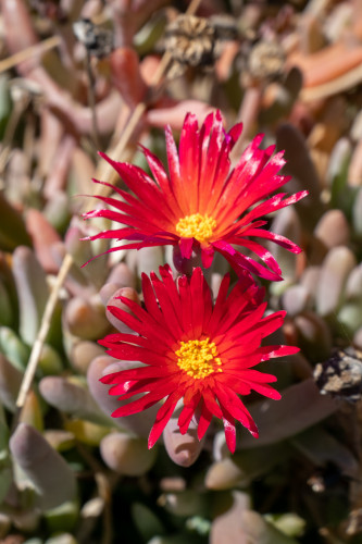 20220207T152857_1331