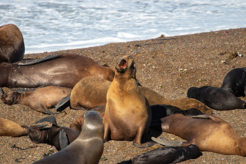 20220207T165141_1364