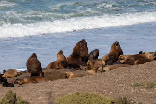 20220207T170209_1384