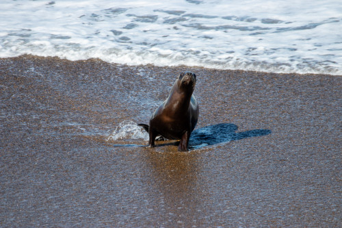 20220207T171116_1402