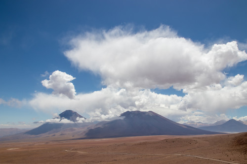 20220305T132433_0599