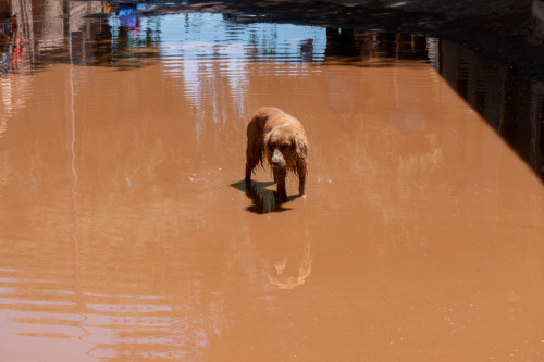 20220305T140618_0600