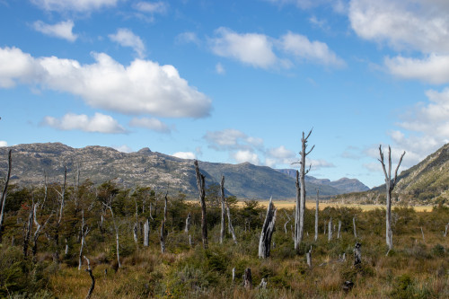 20220323T122426_0440