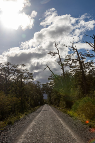 20220323T174214_0546