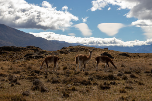 20220324T113845_0316