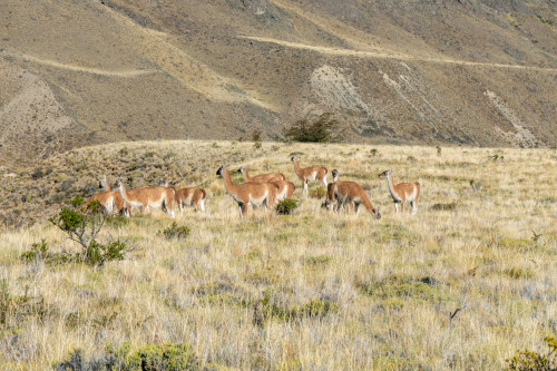 20220324T170711_0355