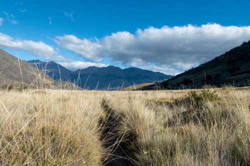 20220324T171421_0360