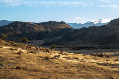 20220325T085023_0380