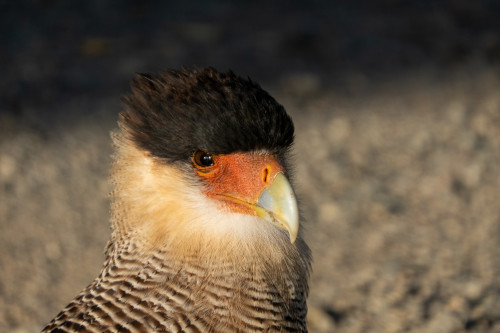 20220325T091723_0383