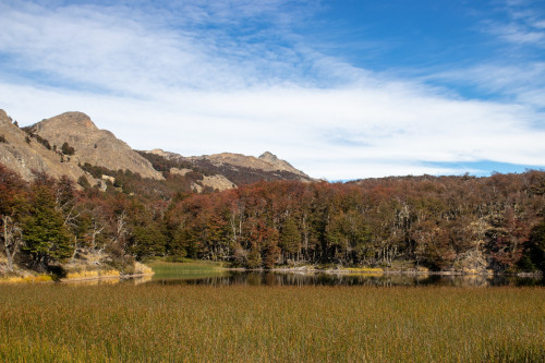 20220325T120351_0396