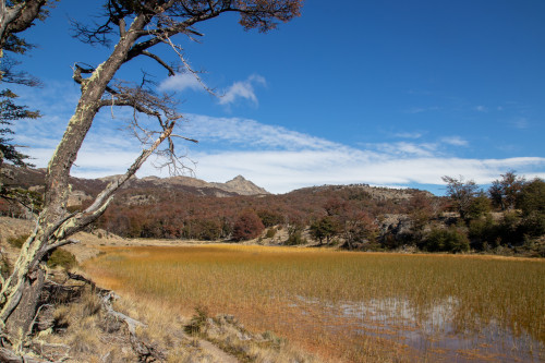 20220325T124835_0404