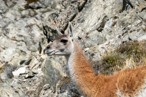 20220325T150424_0427