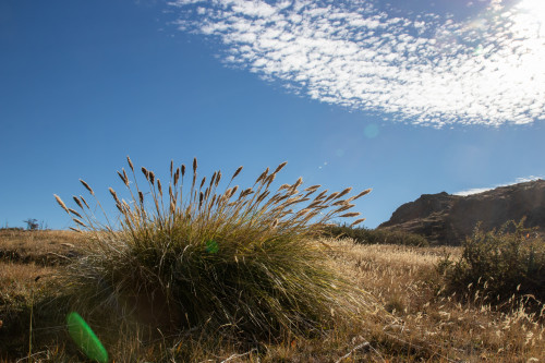 20220325T163014_0448