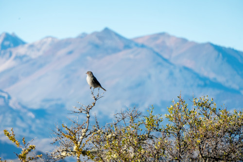 20220325T173355_0451