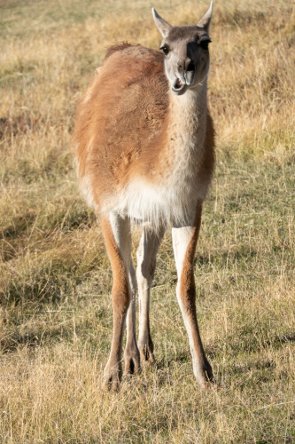 20220325T180558_0455