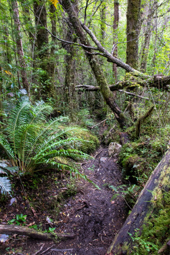 20220326T124053_0506