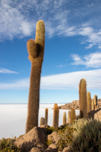 20220427T171826_0127