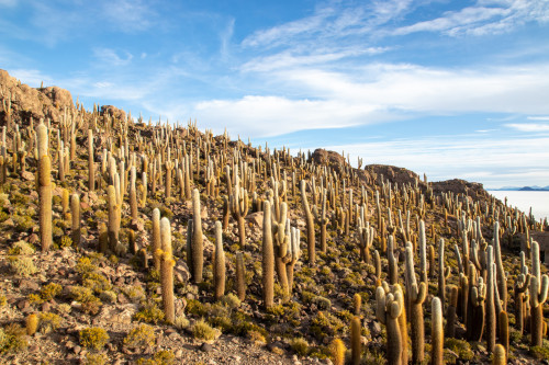 20220427T172012_0131