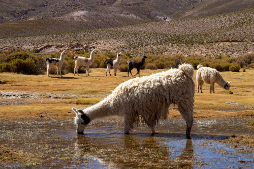 20220428T110923_0253