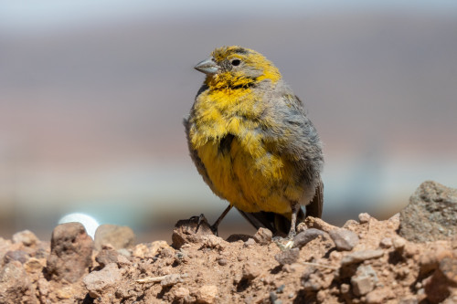 20220428T113831_0265