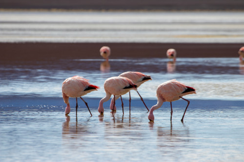 20220428T150915_0297