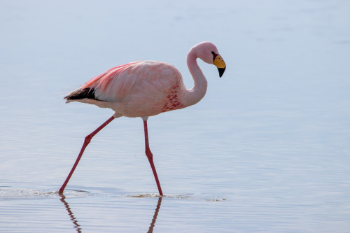 20220428T151643_0327