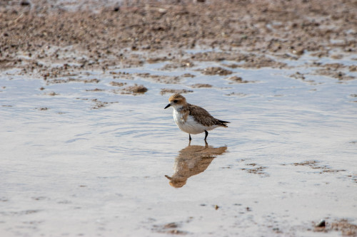 20220428T151732_0333