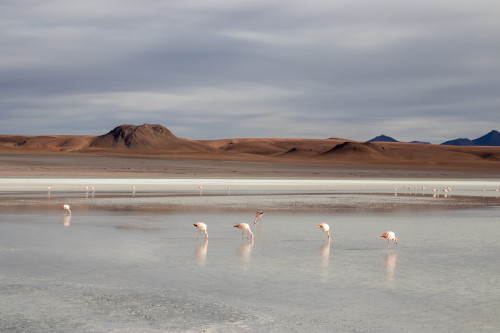 20220428T161441_0393