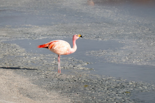 20220428T161615_0398