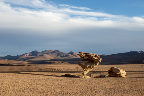 20220428T173448_0466