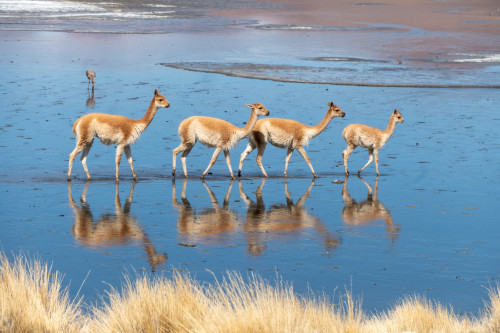 20220429T112937_0787