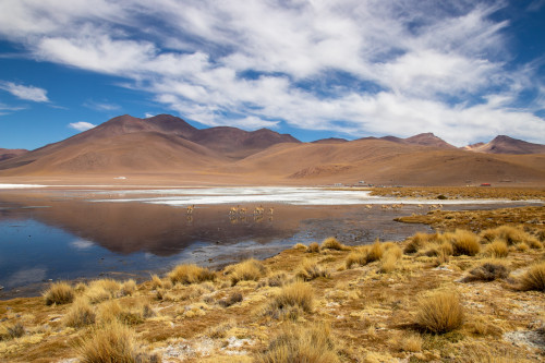 20220429T113016_0796