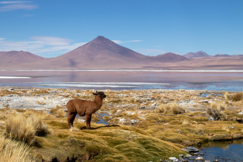 20220429T113229_0808