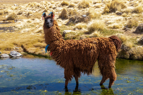 20220429T114019_0834