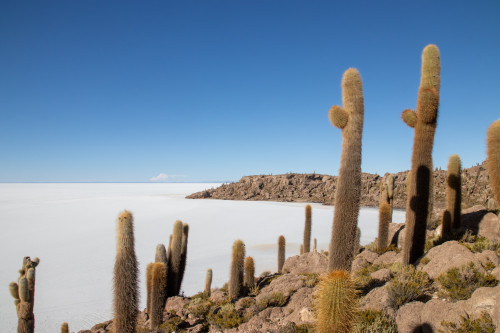 20220501T160041_1029