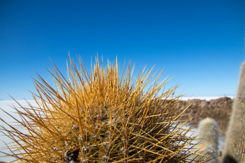 20220501T160925_1039