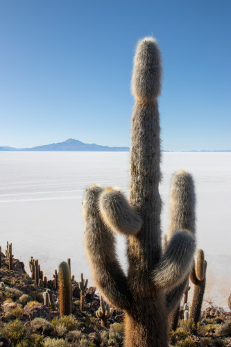 20220501T161015_1041