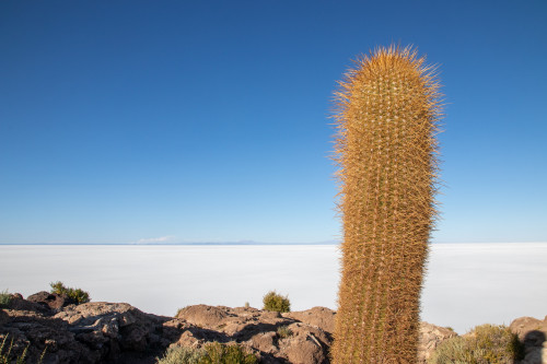 20220501T163314_1049