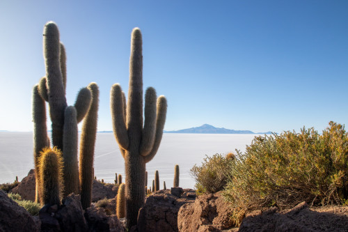 20220501T164915_1053