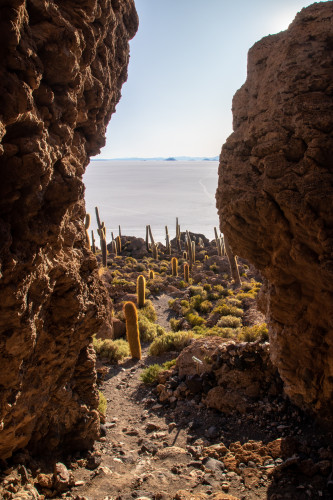 20220501T165030_1055