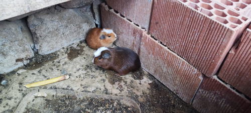 20220601T134148_0502