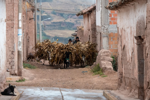 20220602T063341_0549