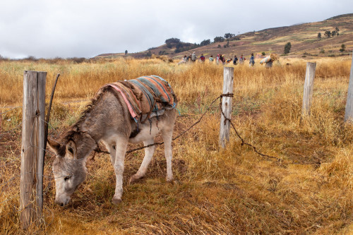 20220602T092013_0559